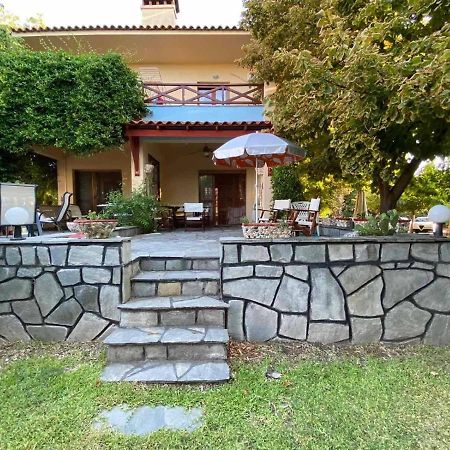 Georgia'S House Villa Nikiti  Dış mekan fotoğraf